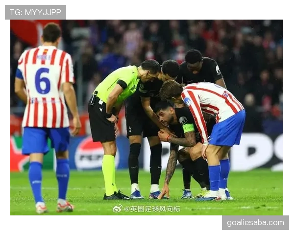 帕利尼亚：从破坏到出球的数据进化解析